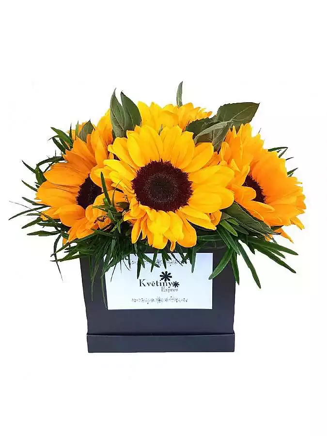 Květinový box Helianthus